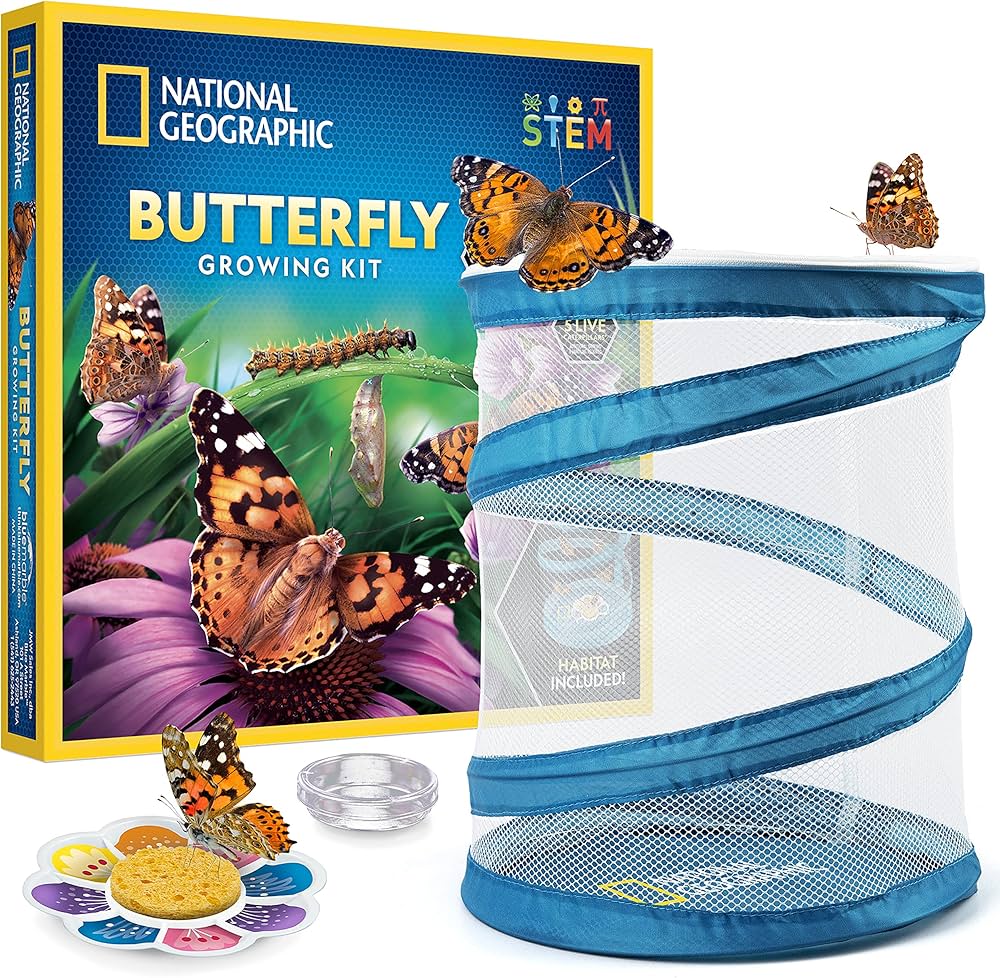 NATIONAL GEOGRAPHIC Caterpillar Growing Kit - Butterfly Habitat with Voucher for 5 Caterpillars, Cage, and Feeder (Amazon Exclusive)