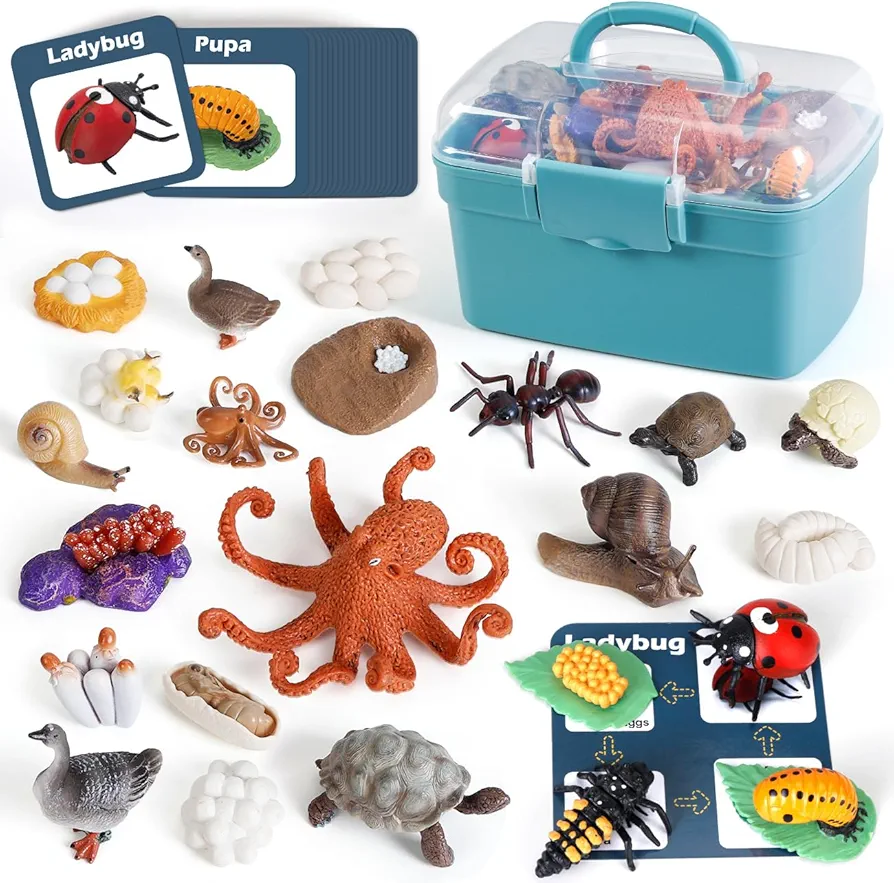 Life Cycle Toys for Kids - Life Science Education Kits: Ladybug, Ants, Goose, Land Turtle, Snail, Octopus - 24 Pieces Animal Models STEM Learning Toys for 3-10 Year Old