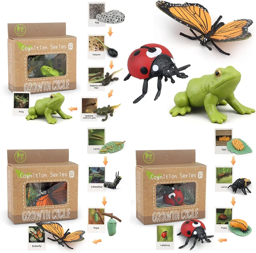 Montessori Life Cycle Learning & Education Toys - Plastic Insect Ladybug, Monarch Butterfly, and Tadpole-to-Frog Kit for Kids, Preschool Learning Activities for Toddlers