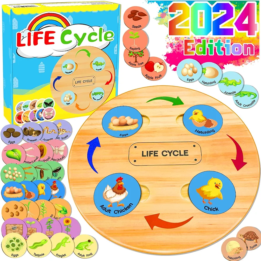 Life Cycle Toys for Kids, Learning & Educational Toys, Montessori Toys for Toddler Preschool Science Learning Activities Toys for Age 3 4 5 6 7 8+