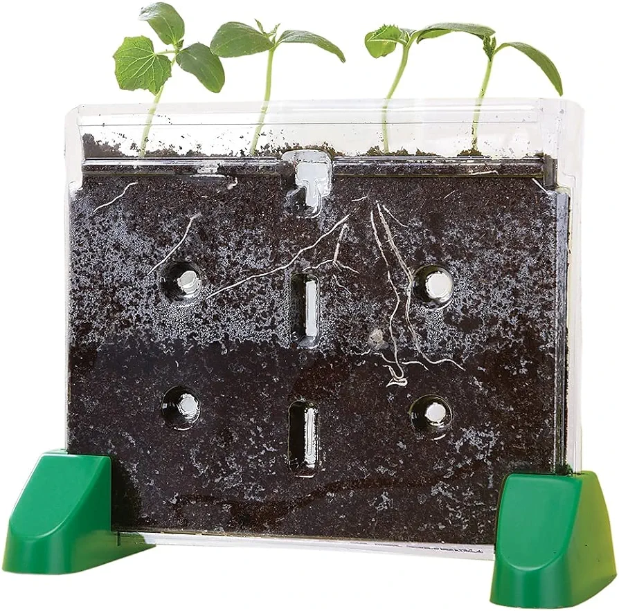 Educational Insights Sprout & Grow Window Plant Growing Kit, Science Kit for Homeschool & Classrooms, Ages 5+