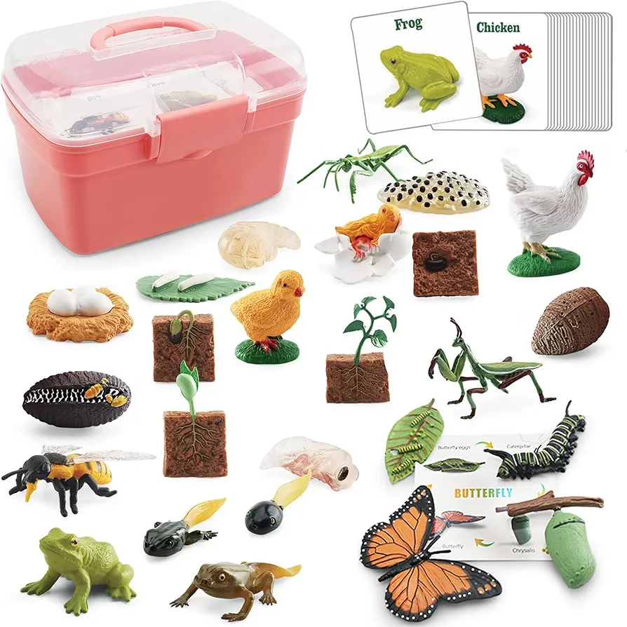 Life Cycle Learning&Education Montessori Toys 25 Pieces, Frogs,Butterflies,Chickens,Praying Mantis,Bees,Plant and Animal Figurines for Toddler Preschool Science Learning, Ages 3 4 5 6 7 8+ CROSHE