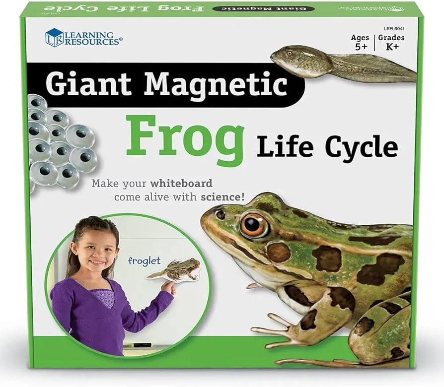 Learning Resources Giant Magnetic Frog Life Cycle, 9 Write and Wipe Pieces, Classroom Accessories, Teaching Aids, Ages 5+