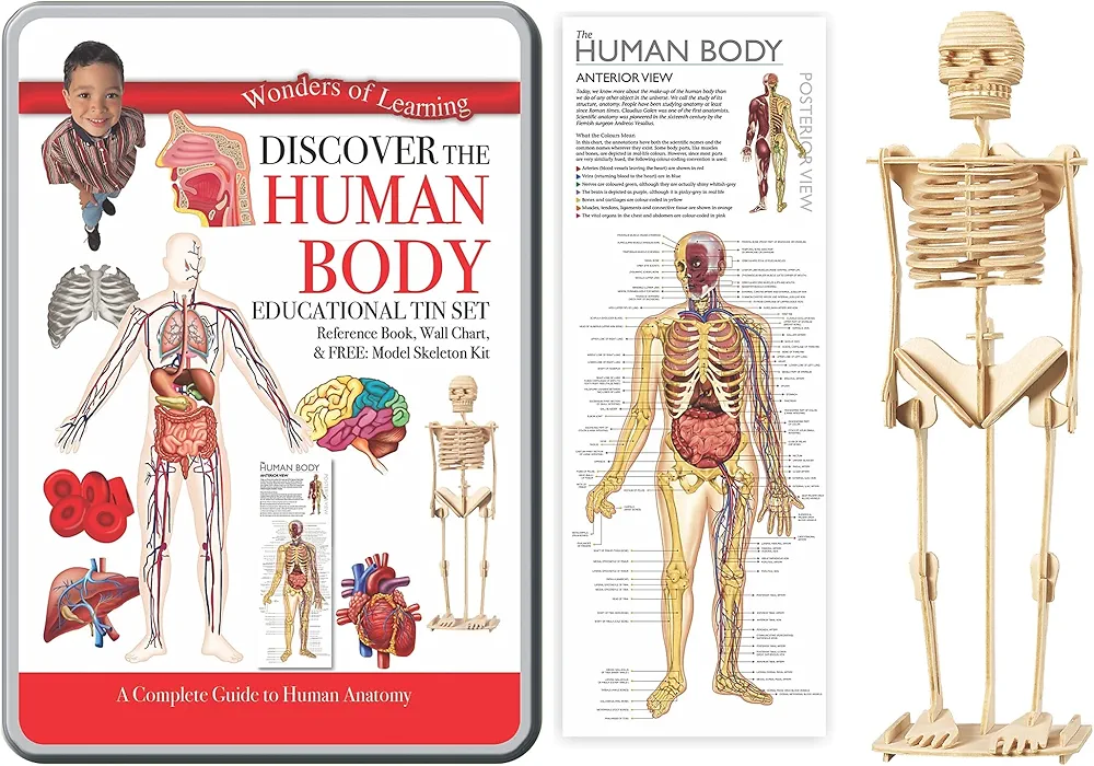 Wonders of Learning Wonders of Learning Tin Set, Discover The Human Body