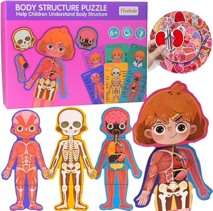 Human Body Anatomy Toy, 36 Piece Human Body Puzzle Sets with 50 Piece Organ Anatomy Stickers, Preschool and Homeschool Learning Anatomy Puzzle Skeleton Toys for Kids Ages 3+ (Pink-b)