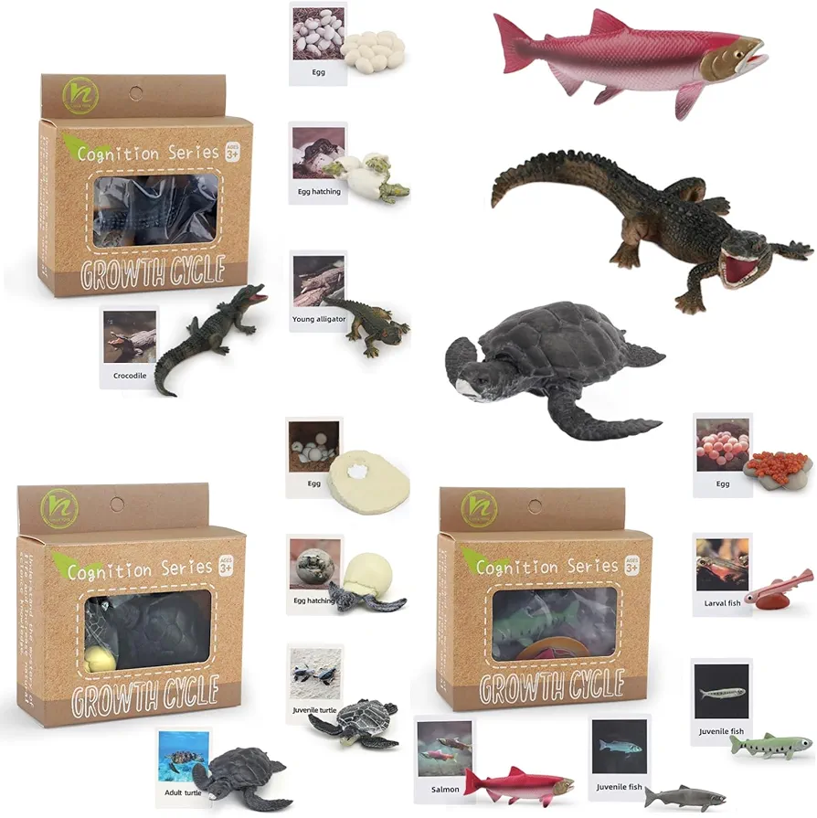 Montessori Life Cycle Animal Figurines Learning & Education Toys, Plastic Insect Life Cycle Toys for Kids, Preschool Learning Activities for Toddlers (Crocodile Salmon Turtle)