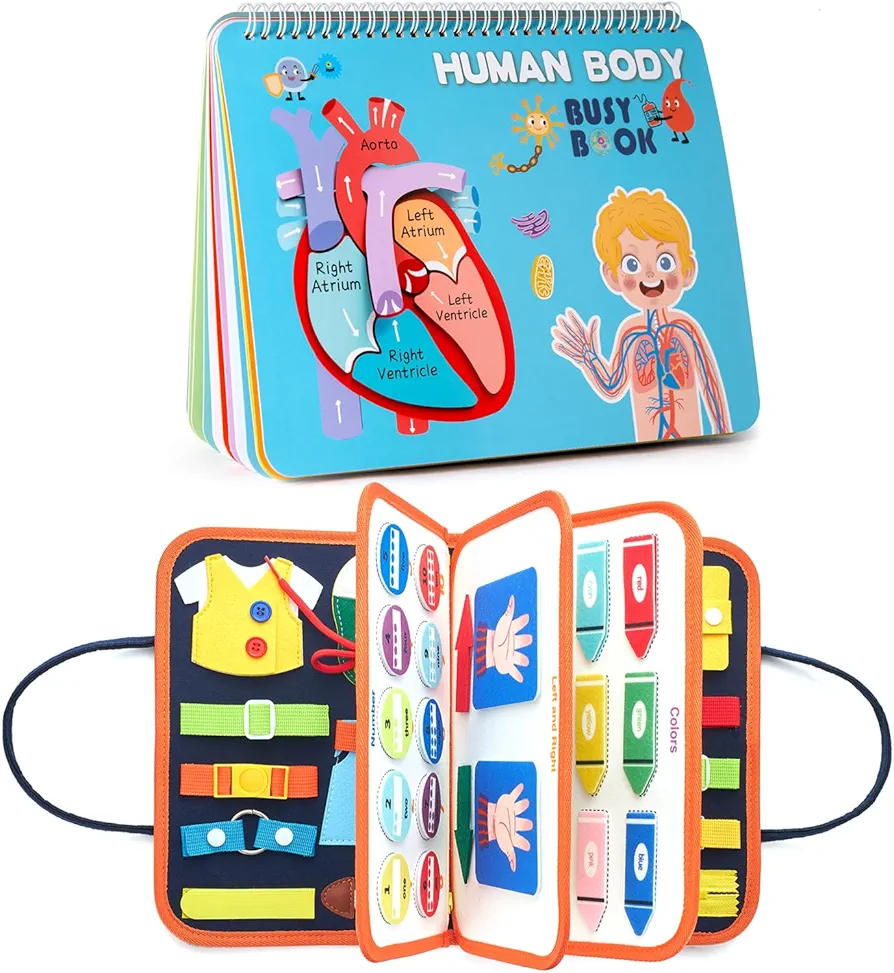 Freebear Busy Board Toddler Travel Toys Sensory Toys for Toddlers 3 4 and Busy Book for Toddlers, Human Body Learning & Education Toys