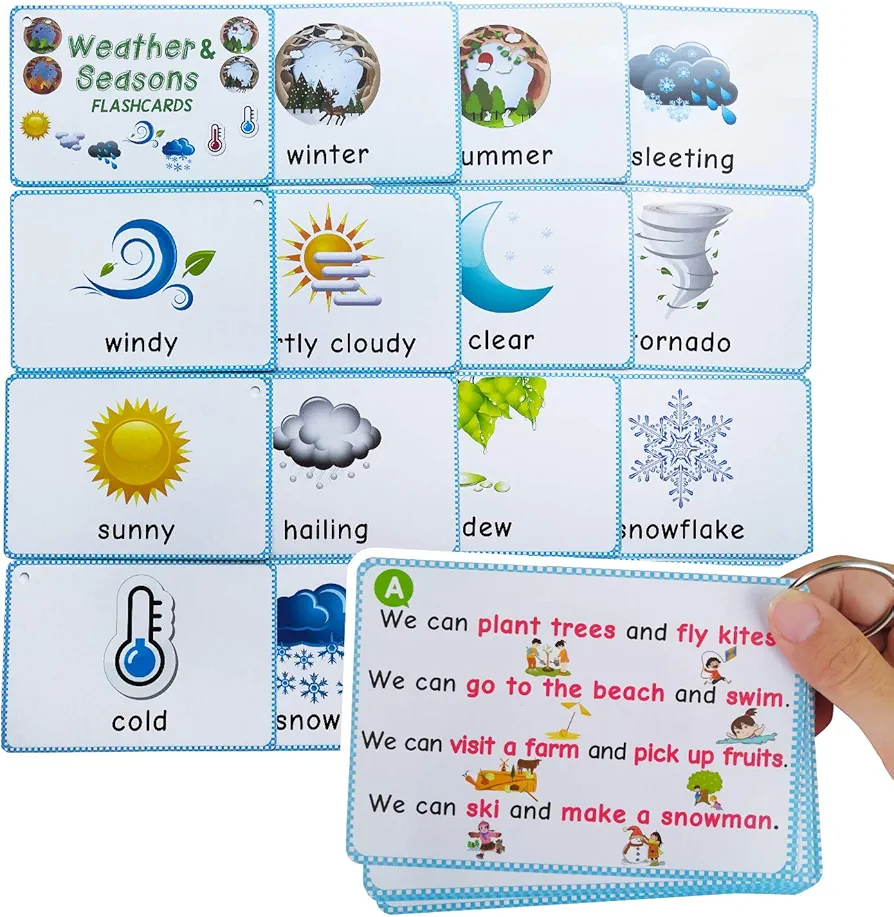 Weather & Seasons Flashcards Educational Learning Toys Toddlers Kids Learning Pocket Cards Kindergarten Supplies