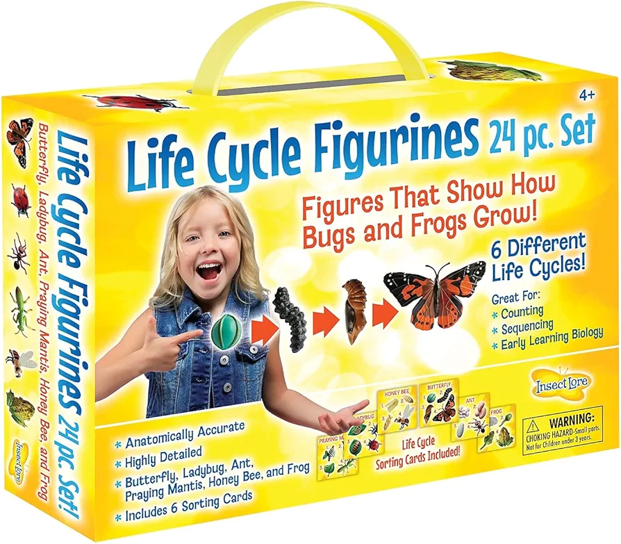 Insect Lore Life Cycle Figurines 24 Pc Set, Brown/a