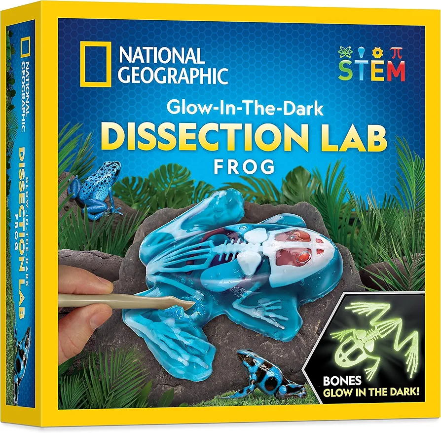 NATIONAL GEOGRAPHIC Frog Dissection Kit Anatomy Lab - Glow in the Dark Synthetic Frog Dissecting Science Lab for Kids with Dissecting Tools, Glowing Bones & Realistic Organs, Science Toys, Biology Kit