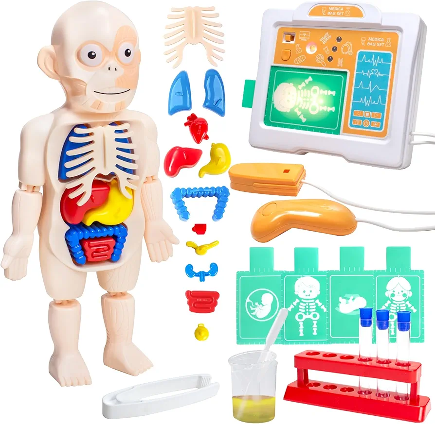 Science Kits Human Body Model for Kids 5-7 8-12,Human Anatomy Medicine Toys with Light&Sound for Toddlers Boys Girls,Early Educational Preschool Learning Activities Toys