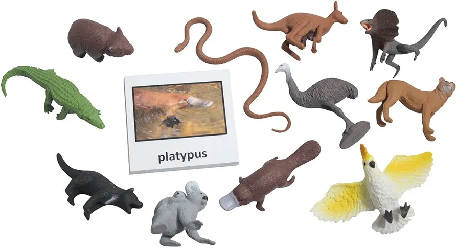 Montessori Australian Animal Match Cards and Figurines. Nomenclature Science Work Continent Box