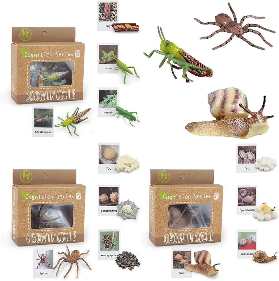 Montessori Life Cycle Animal Figurines Learning & Education Toys, Plastic Insect Life Cycle Toys for Kids, Preschool Learning Activities for Toddlers (Snail Spider Grasshopper)