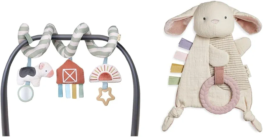 Itzy Ritzy Car Seat & Stroller Toys with Bunny Teether for Ages 0 Months and Up