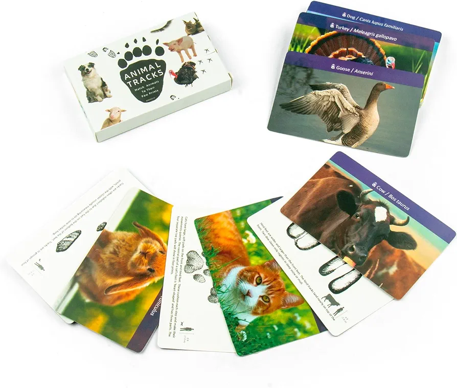 MEROCO Animal Tracks Game Animal Flash Cards for Kids Ages 4-8 Preschool Learning Toys for 4 Year Old