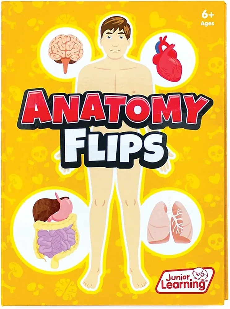 Junior Learning JL647 Anatomy Flips, Multi