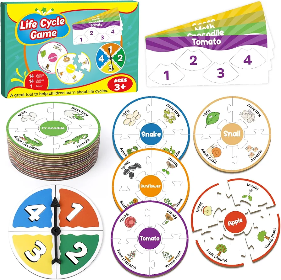 Life Cycle Toys for Kids, Toddler Puzzles, Preschool Toys, Science Kits for Kids 3-5, Kindergarten Learning Activities, Learning Education Toys, PreK Classroom Essentials, Homeschool Supplies