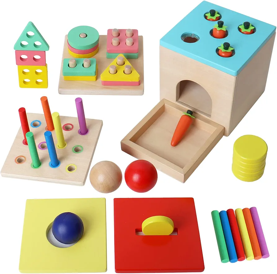 BESTAMTOY Wooden Montessori Toy for 1+ Year Old, Shape Sorter,Object Permanence Box, Coin Carrot Harvest, Toddler Learning Kid Age 1, 2, 3 Girl boy Gift Baby 6-12 Month