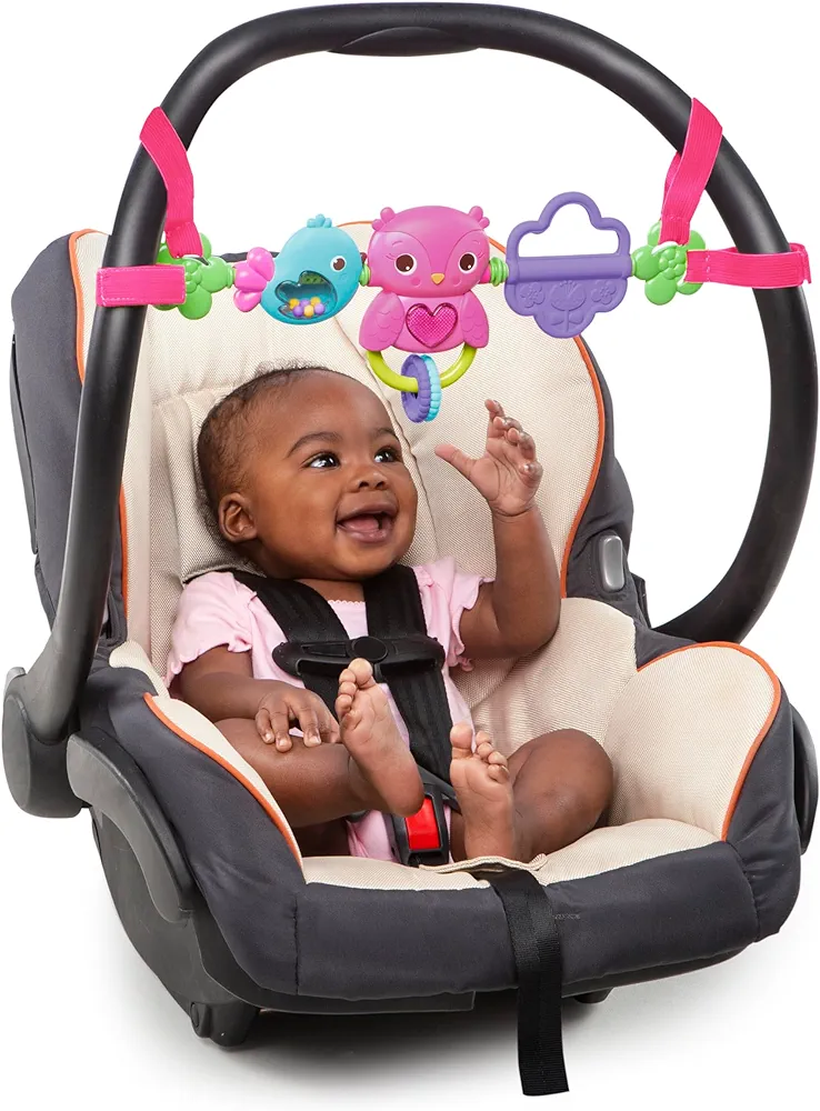 Bright Starts Busy Birdies Carrier Toy Bar Musical Take-Along Toy with Lights, Ages Newborn +, Pink