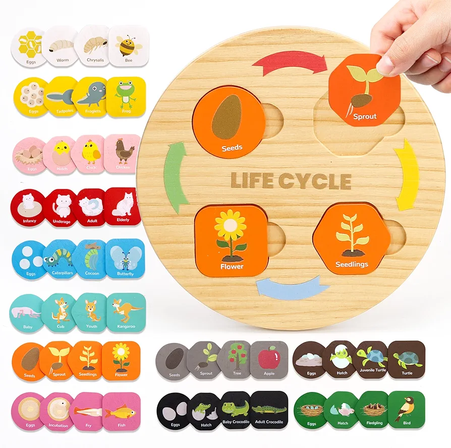 Life Cycle Toys for Kids, 12 Themes Montessori Preschool Science Center Materials, Wooden Learning & Educational Toys for Toddlers, Learning Game Travel Toy Birthday for Boys Girls Age 3-6