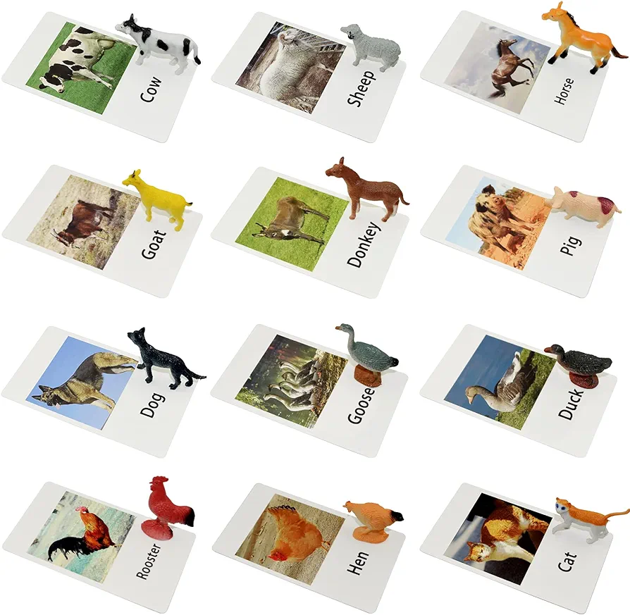 Farm Animal Toys with Flash Cards - 12 Sets of Realistic Animal Figures - Educational Learn Cognitive Toys & Animal Matching Game Playset for Toddlers Kids