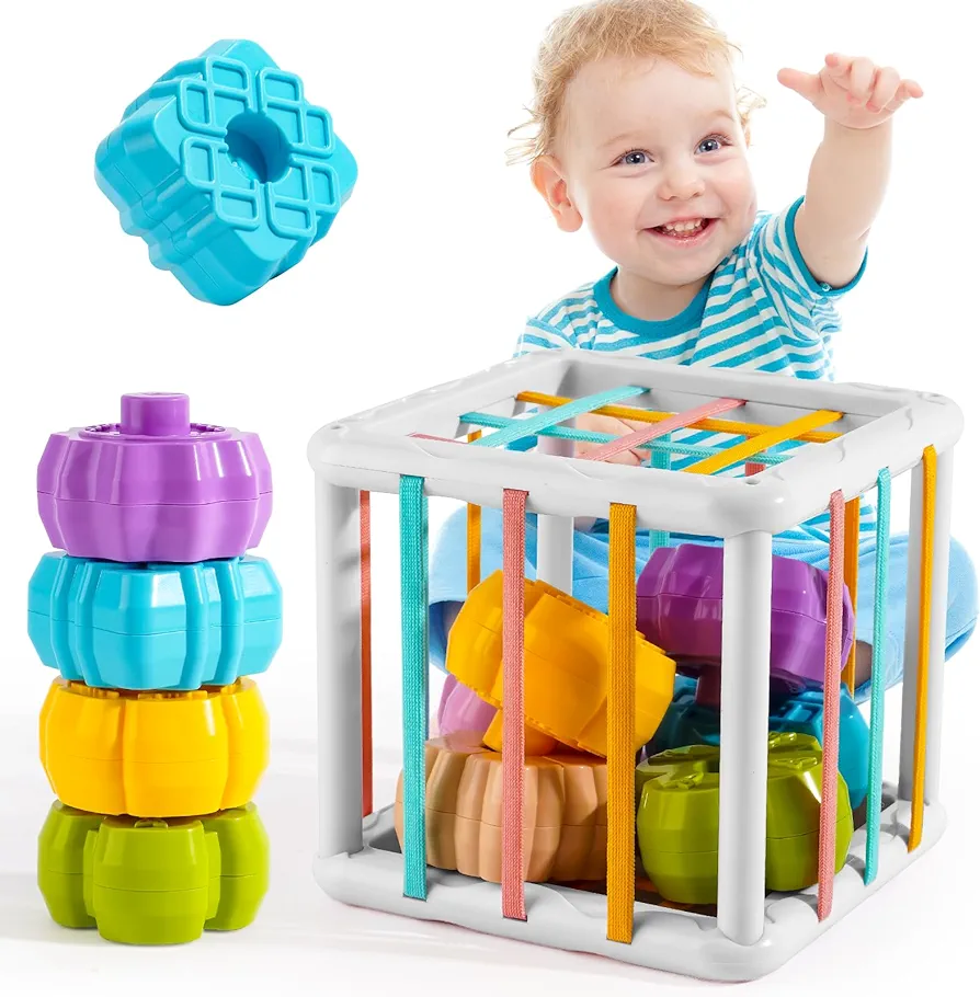 Montessori Baby Toys for 1 Years Old Boy & Girl,Cube Bin and 6Pcs Multi Sensory Shape Sorter Blocks,Learning Educational for Toddlers Toys Birthday Gifts,Baby Toys 6-9-12-18 Months