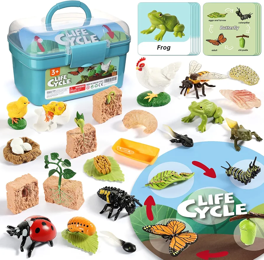 Life Cycle Kit Toy Montessori, Realistic Figurines Set for Kids with 25 Pieces Animals & Plants, Learning & Education Activity Games for Children 3 + |Preschool Classroom Must Haves