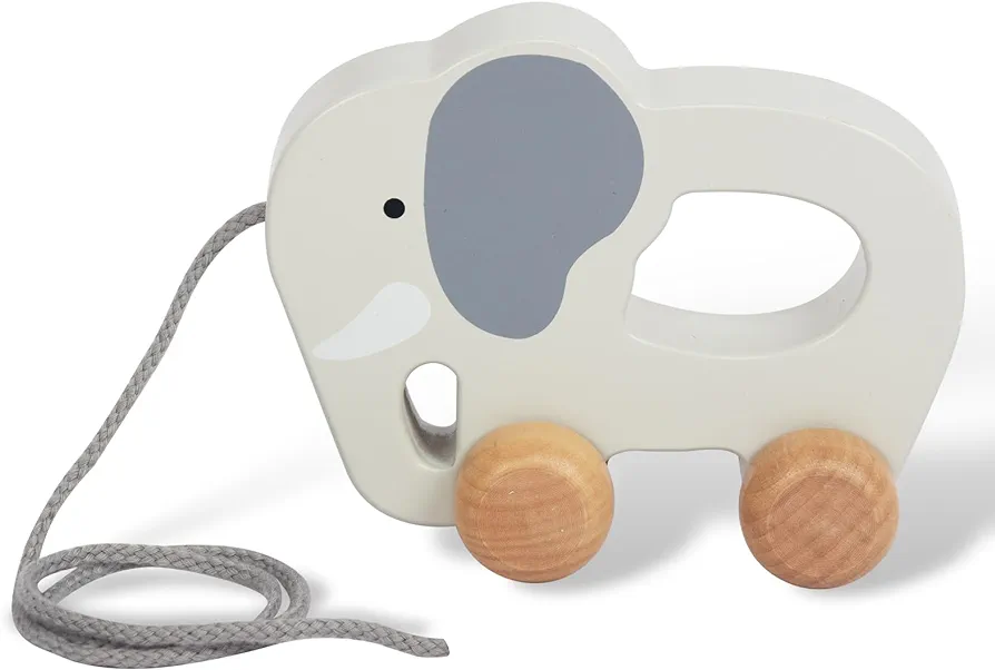 Baby Toys Car,Wooden Pull Along Toddler Toy, Developmental Toy for 1 Year Old Girl Boy Birthday Gift