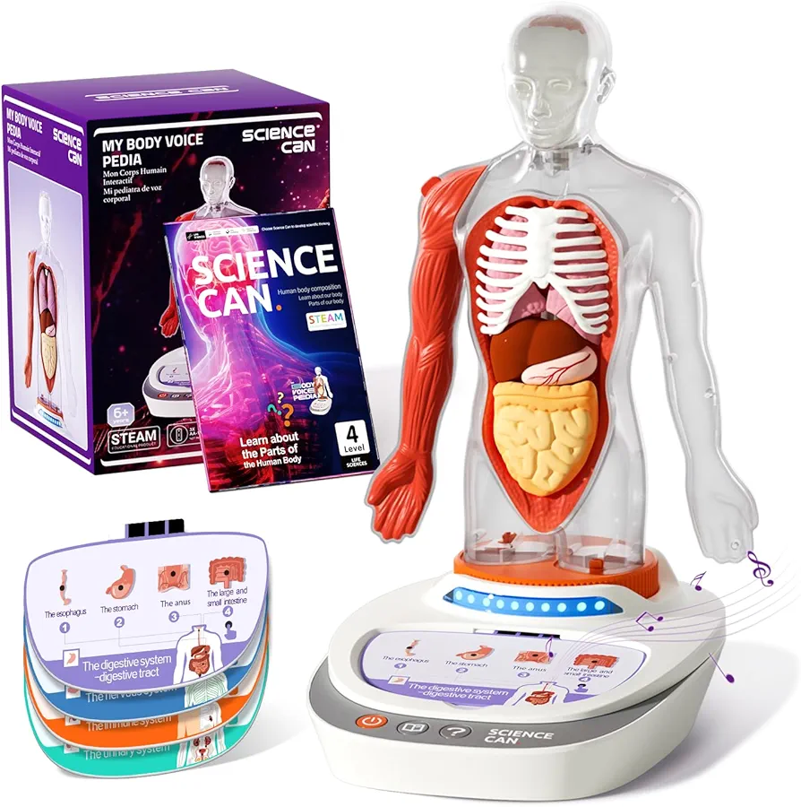 Science Can Human Body Model for Kids, Interactive Human Anatomy Talking Model - 11 Inch Realistic Anatomical Assembly Kit 15PCS Removable Parts and Guide STEM Educational Toys for Kids Aged 6+ Gifts