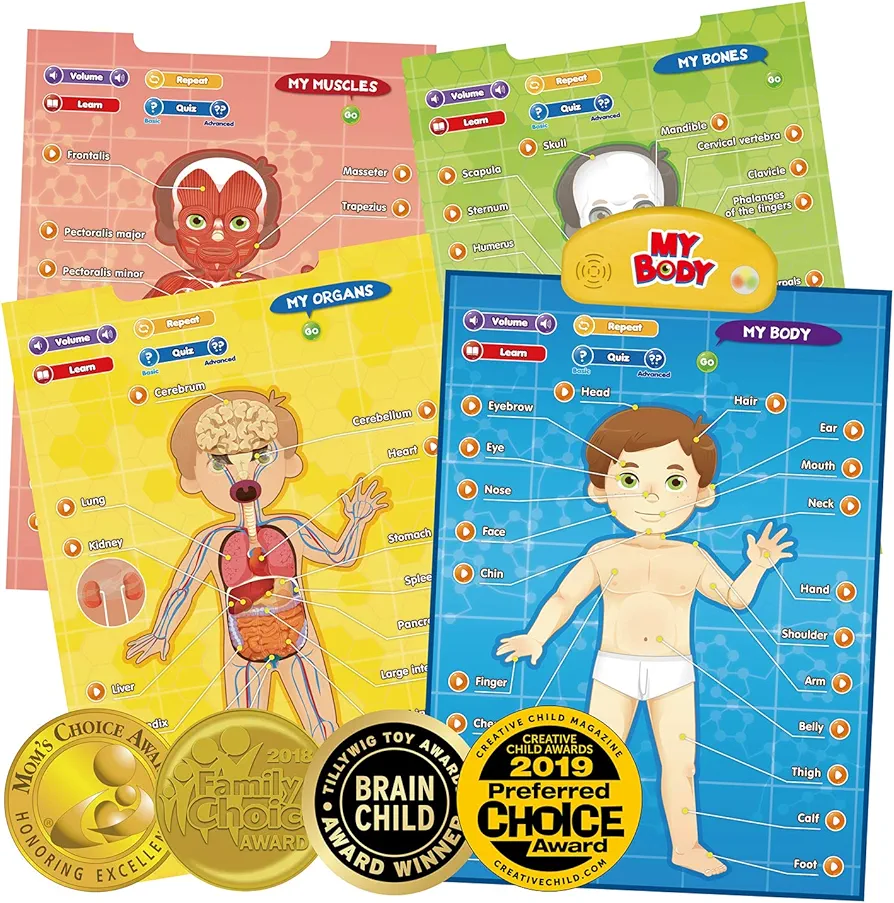 BEST LEARNING i-Poster My Body - Interactive Educational Human Anatomy Talking Game Toy | Learn Body Parts, Organs, Muscles and Bones for Kids Aged 5 to 12 Years Old