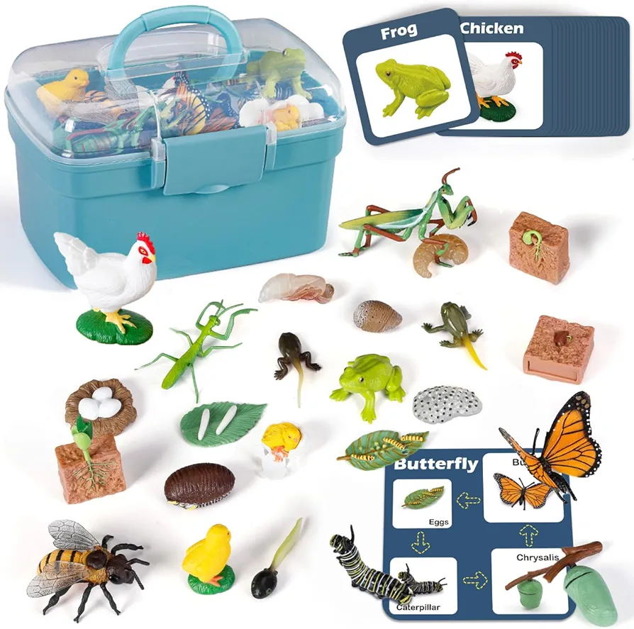 Life Cycle Learning Toys for Kids: Life Science Education Kits with Butterfly, Frog, Chicken, Mantis, Bee, Plants - 25 Pieces Animal Figurines Montessori Toys for Children Age 3 4 5 6 7 8+