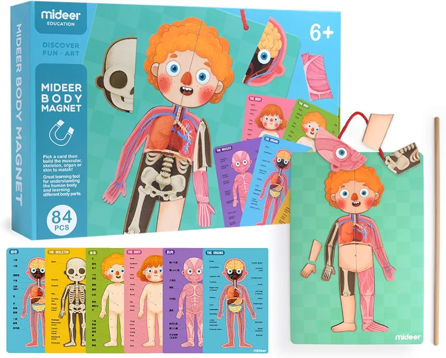 Mideer Human Body Model Puzzle for Kids, 90 Magnetic Puzzles Human Anatomy Play Set to Learn Body Parts, Organs, Muscles and Bones, Funny Gifts for Ages 6+