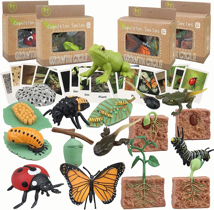 Life Cycle Learning & Education Toys,Montessori Toys Figurines for Frog, Butterfly, Ladybug,Plants Kit,Gift for Girl & Boy for 3 4 5 Year Old