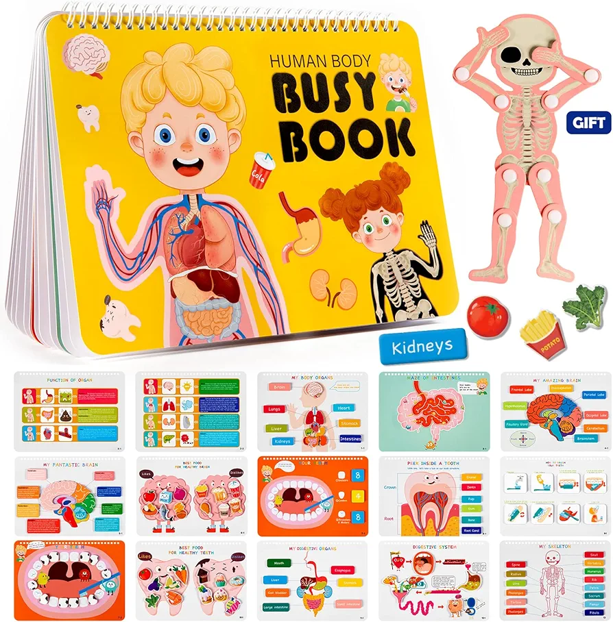 Freebear Montessori Busy Book for Kids, Human Body Anatomy Book for Toddlers, Preshool Kindergarten Learning Activities, Autism Sensory Toys, Travel Toys, Gifts for Girls and Boys 4 5 6 7 8 Years