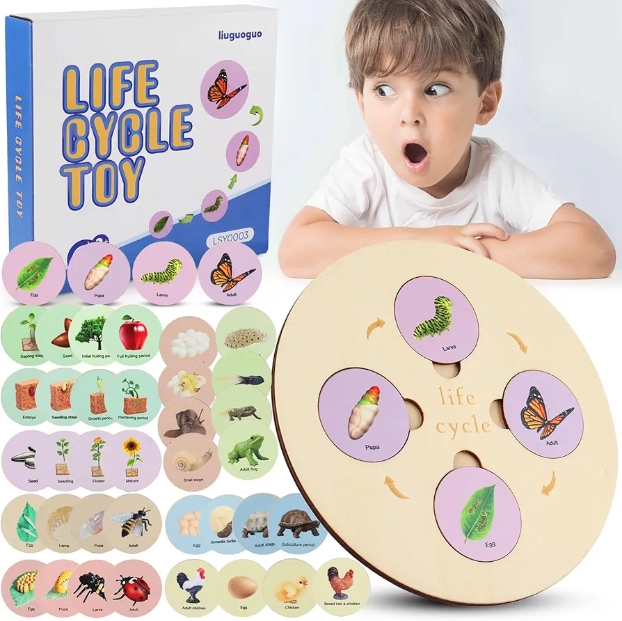 Life Cycle Toys for Kids, Learning & Educational Science Kits, Preschool Learning Toys for Toddler Age 3 4 5 6 7 8