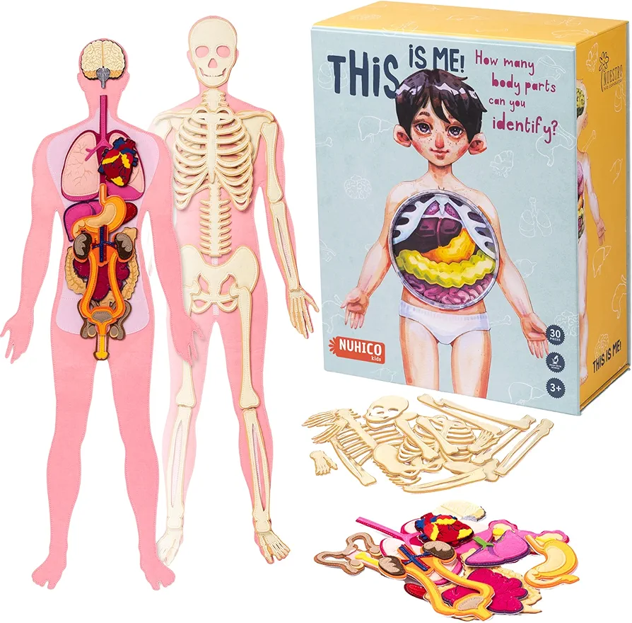 Montessori Essential Large 3 feet Human Body Model for Kids. Learning Toys for Homeschool Curriculum and Puzzles for Kids. Homeschool Supplies for Teaching and for Your Room.